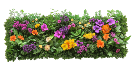  A vibrant, green living wall with various flowers and plants in shades of purple, pink, orange, and yellow, arranged neatly on a transparent background PNG