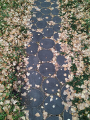 Top view of a path made from round tree trunk sections, autumn day.