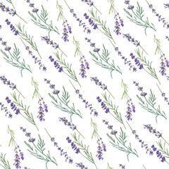 The pattern is seamless with lavender flowers on a white background. Watercolor illustration of Provence flowers. The botanical pattern. An elegant French motif. Suitable for packaging, flower shops.