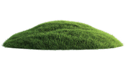 green grass isolated on white background