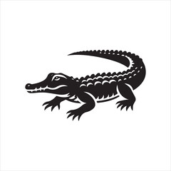 crocodile isolated on white