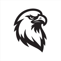 eagle head vector illustration