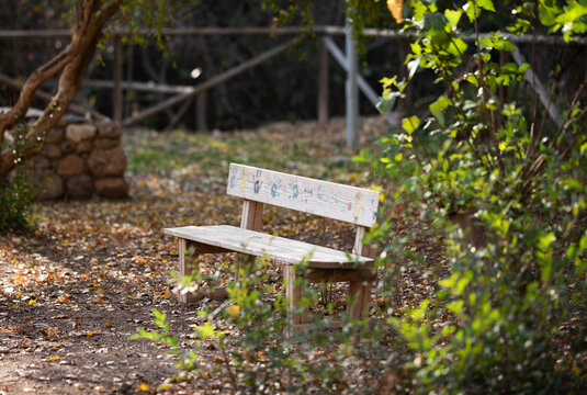 A back shot of a wooden bench on green fleid wit grass and blue sky