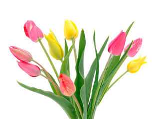 Colorful bouquet of tulips.
