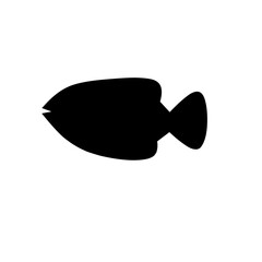 vector silhouette of a fish