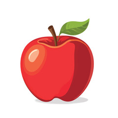 Red apple fruit vector illustrations