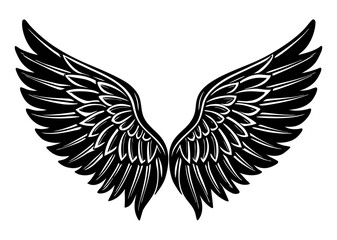Illustration of wings collection set 