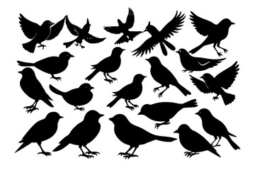 bird2 silhouettes 