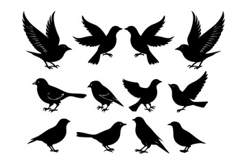 bird2 silhouettes 