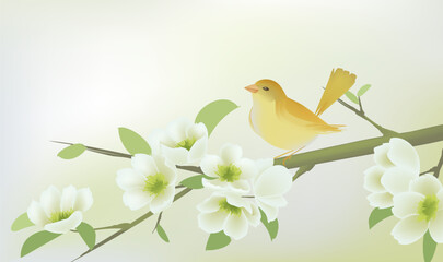 Spring horizontal illustration design yellow birds standing among white flowers