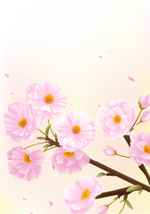Spring vertical illustrations design pink cherry blossoms