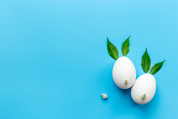 Top view of Easter bunny from eggs and willow buds. Happy Easter concept