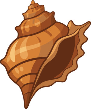 Beautiful Conch shell top vie vector art illustration