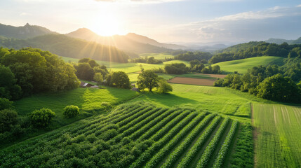 Obraz premium lush green farm landscape showcasing sustainable organic agriculture with rolling hills and beautiful sunrise. vibrant fields and trees create serene atmosphere