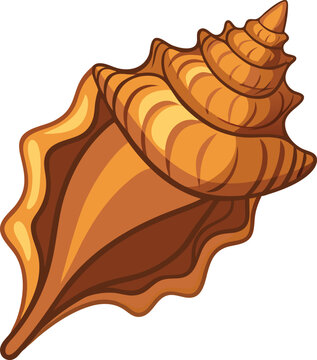 Beautiful Conch shell top vie vector art illustration