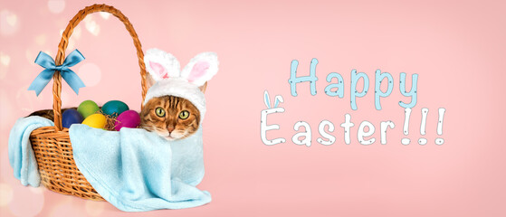 Cat with rabbit ears in basket with easter eggs
