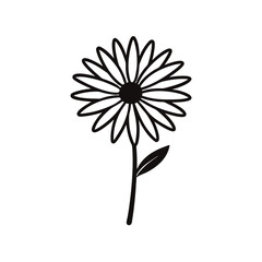 vector illustration of a flower