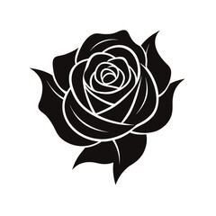 rose vector illustration