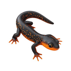 Fototapeta premium 3D vector icon of Rough-skinned newt isolated on transparency background