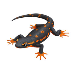 Obraz premium 3D vector icon of Alpine newt isolated on transparency background