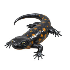 3D vector icon of Chinese giant salamander isolated on transparency background