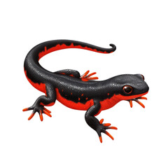 Fototapeta premium 3D vector icon of Red-backed salamander isolated on transparency background