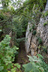 Fototapeta premium Blick in eine Schlucht im Müllertal der luxemburgischen Schweiz.