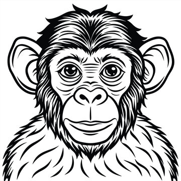 Monkey Monkey Line Drawing Monkey Face