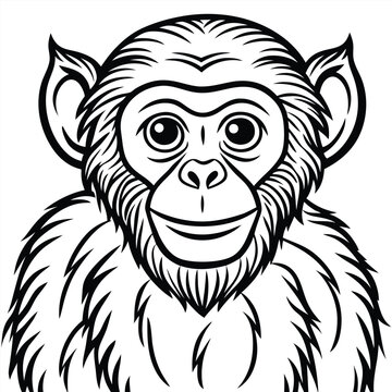 Monkey Monkey Line Drawing Monkey Face