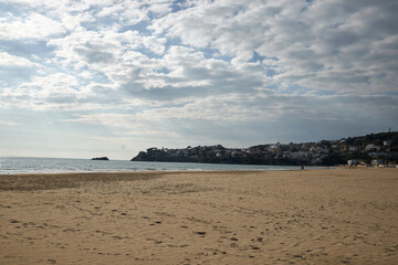 Coastal Landscape with Cliffs and Ocean Views