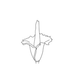 titanarum line art flower flora logo