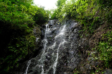Clean mountain waterfall on hot summer day among green trees with a rock and water flowing down it in Georgia. Natural landscape. Ecotourism, travel concept.