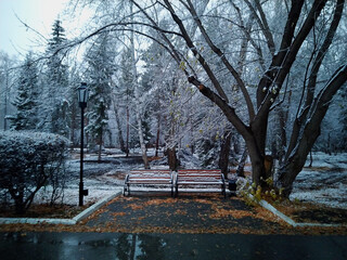 Autumn landscape. Late autumn in the park, first snow.