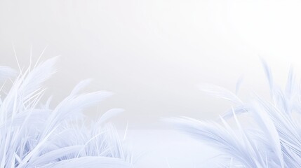 Obraz premium Abstract white grass in nature scene with natural light and minimalistic background