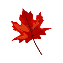 Red Maple Leaf