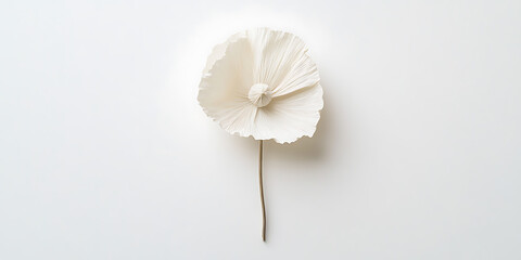Single White Paper Flower: Simple elegance in its delicate form, radiating purity and light against a clean backdrop. Understated beauty.