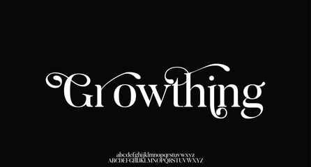 Luxury serif font in modern style. Elegant wedding alphabet letters font and number. Typography Luxury classic lettering serif fonts decorative vintage retro logo
