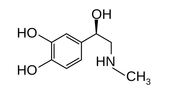 Adrenaline Chemical Structure Diagram – Epinephrine Neurotransmitter and Hormone Illustration