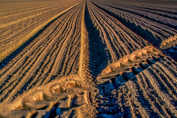 Tractor tracks in furrowed field 