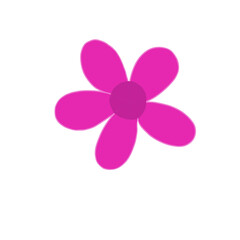 pink flower isolated on white