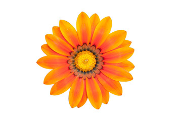 png.The photo shows a gazania flower Orange petals with a dark center and yellow stamens.