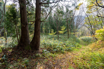 Fototapeta premium Historic old road “Salt Road” which is also a long distance hiking course and its surroundings