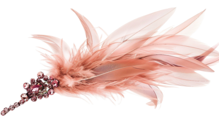 Feathers Adorned on transparent background PNG.