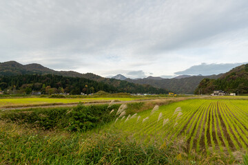 Historic old road &ldquo;Salt Road&rdquo; which is also a long distance hiking course and its surroundings