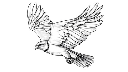 Obraz premium Detailed pen and ink depicting a soaring falcon in mid flight with its wings fully spread capturing the power grace and elegance of this majestic bird of prey