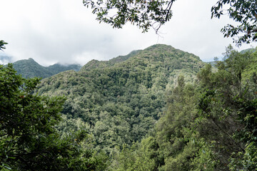 The landscape with greenish and hills Madeira.