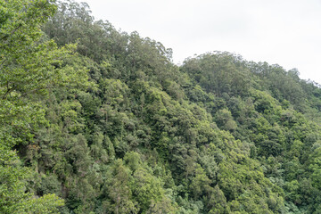 The landscape with greenish and hills Madeira.