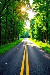 Obraz premium Sunlit Road Through Lush Green Canopy, A Scenic Drive on a Summer Day