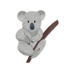 Koala on Tree