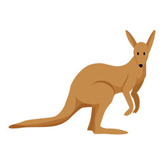 Kangaroo Animal